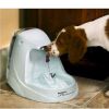 Drinkwell Platinum Pet Fountain– Stylish & Efficient Water Fountain for Pets