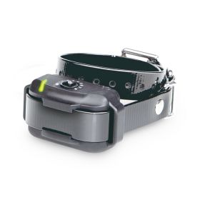 Dogtra In-Ground Dog Fence Collar– Reliable and Comfortable Pet Containment