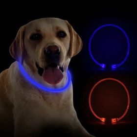 Pet Luminous Collar – Transparent Design with Blue LED Light for Night Safety