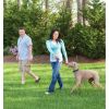 Free to Roam Wireless Fence – Convenient and Flexible Pet Containment