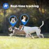 PetSafe Guardian GPS + Tracking Dog Fence Collar  Wireless Dog Fence with Real-Time Tracking and Containment