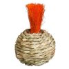 Prevue Pet Products Grassy Nibblers Squash – 1080 | Natural & Fun Chew Toy