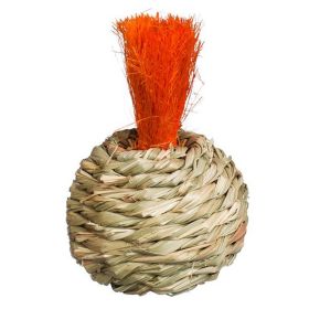 Prevue Pet Products Grassy Nibblers Squash – 1080 | Natural & Fun Chew Toy