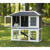 Prevue Pet Products 4601 Duplex Rabbit Hutch | Spacious & Multi-Level Bunny Home