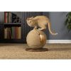 Prevue Pet Products Kitty Power Paws Sphere Scratching Post / Unique & Engaging Cat Scratcher