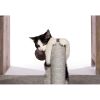 Prevue Pet Products Kitty Power Paws Play & Scratch | Fun & Functional Cat Scratcher