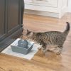 PetSafe Drinkwell Seascape Ceramic Dog and Cat Water Fountain – Stylish & Hygienic Water Source