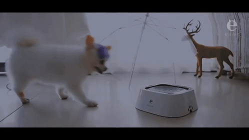 1.5L Floating Pet Water Bowl – Anti-Overflow Slow Water Feeder & Dispenser for Cats and Dogs (Pink)