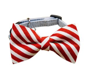 DapperPet™ Adjustable Printed Neck Tie – Stylish Collar for Small Dogs & Cats (6–11")