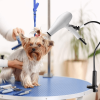Hands-Free 360° Rotating Hair Dryer Holder | Adjustable Gooseneck Stand for Pet Grooming