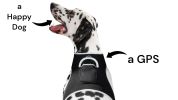 TrackMate™ GPS Dog Collar Tracker – Real-Time Pet Location Device (Size M)