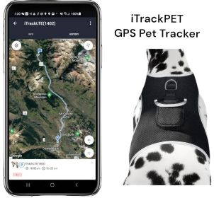 TrackMate™ GPS Dog Tracker – GSM/GPRS Waterproof Pet Locator (Size L)