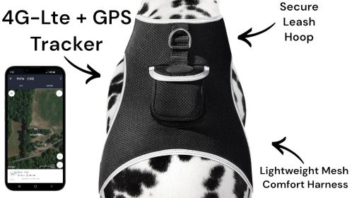PawSecure™ Mini GPS Tracker – Waterproof Dog Locator with GeoFence Alerts (Size L)