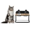 Elevated Pet Feeder with Bowls