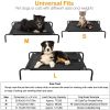 Elevated Pet Cot | Breathable & Cool Raised Bed for Dogs & Cats (L Size)