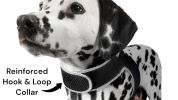 TrackPro™ Waterproof GPS Tracking Collar – Real-Time Pet Tracker for Hunting Dogs (Size M)
