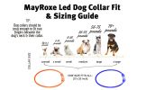 GlowPup™ LED Luminous Pet Collar – Light-Up Safety & Style for Night Walks