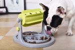 Pet Life ‘Roto Paw’ Interactive IQ Training Slow Feeder