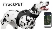 TrackLite™ Mini GPS Tracking Collar – Rechargeable Real-Time Pet Locator for Hunting Dogs (Size M)