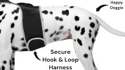 HuntHound™ Waterproof GPS Tracker – Real-Time GSM Tracking Collar for Hunting Dogs (Size S)