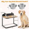 ElevateMate™ Adjustable Dog Bowl Stand – Dual Stainless Steel Bowls with 3 Height Settings