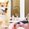 Quiet USB Rechargeable Dog Nail Grinder | 2-Speed Cordless Pet Nail Trimmer
