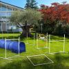 PawHut Dog Agility Training Set | 9.8' Tunnel & Obstacle Course with Canine Whistle