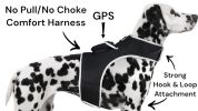 PawPulse™ Mini GPS Dog Tracker – Waterproof & Rechargeable Collar Locator (Size L)
