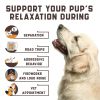 CalmPup™ Natural Dog Calming Chews – With Hemp Oil & Valerian Root (Duck Flavor)