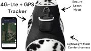 HuntTrack™ XL GPS Pet Tracker Collar – Long-Range GSM Locator for Hunting Dogs