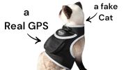 TrackMate™ GPS Dog Collar Tracker – Real-Time Pet Location Device (Size M)