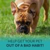 No Poo Chews | Stop Poop Eating & Support Digestive Health For Dogs