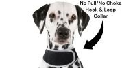SafePaws™ GSM Pet Tracker – Real-Time GPS Locator for Dogs & Cats (Size: L)