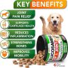 Glucosamine Hip & Joint Chews for Dogs | 2-Pack for Mobility & Pain Relief