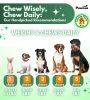 Flea & Tick Defense Chews | Natural, Mess-Free Protection for Dogs