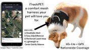 TrackTail Mini GPS Pet Tracker – Waterproof Location Finder for Cats & Small Dogs (Size XS)