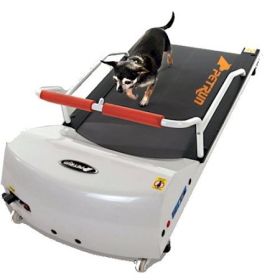 PetRun PR700 Dog Treadmill– Ideal Exercise Solution for Your Pet
