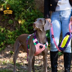 Vibrant Comfort Dog Harness & Leash Set – Secure, Adjustable Fit for Confident Walks (select: AN6-purple-L)