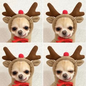 Christmas Reindeer Hoodie for Pets | Festive & Cozy Holiday Costume for Small Dogs & Cats (Color: Coffee, size: XL)