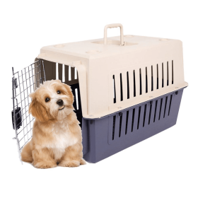 PawPort™ Plastic Pet Carrier – Airline-Approved Travel Box with Chrome Door (Medium, Multicolor) (sku: KM0078)