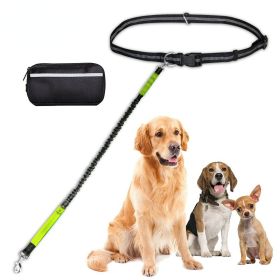 Hands-Free Dog Leash with Bungee & Zipper Pouch | Perfect for Running, Jogging & Walking (colour: Blue suit, Specification (L * W): 2.5*122CM)