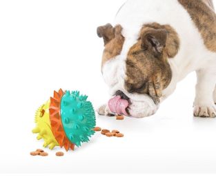 Interactive Squeaky Treat & Chew Toy with Rope | Durable for Aggressive Chewers (Color: Green)