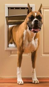 PetSafe Freedom Pet Door – Durable & Convenient Access for Pets (Option: Large)