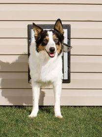 PetSafe Wall Dog Door – Convenient and Durable Entry for Your Pet (Option: Medium)